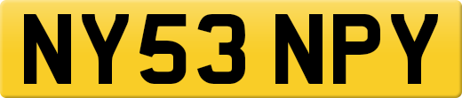 NY53NPY